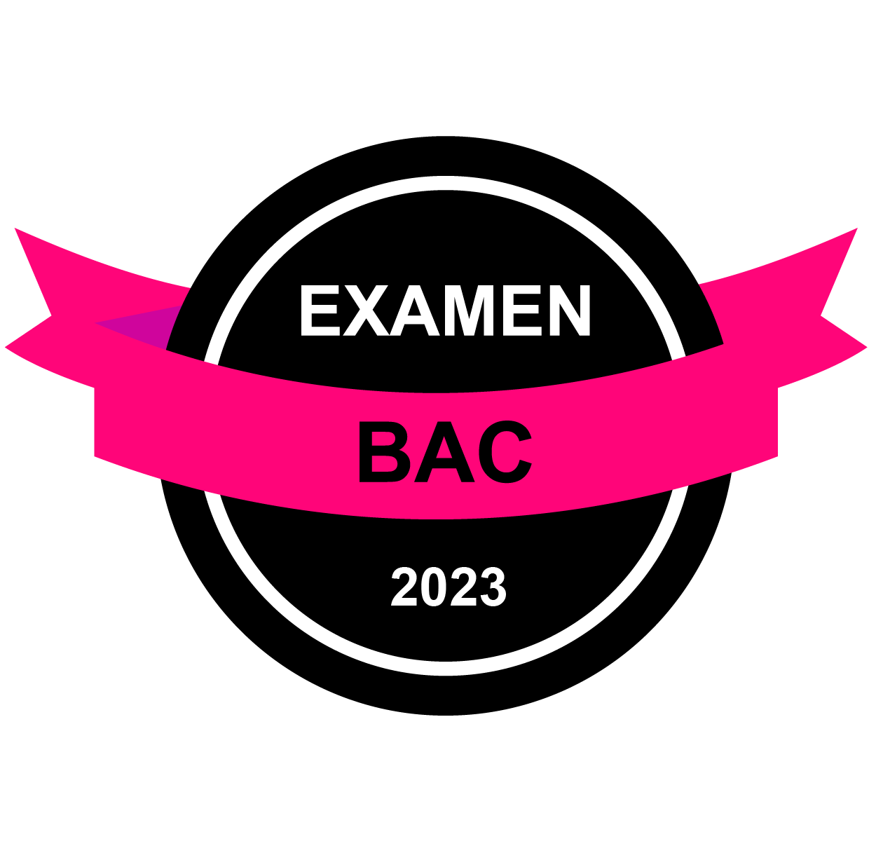 Bac sciences exp, maths, sciences info, économie et gestion : Français - principale