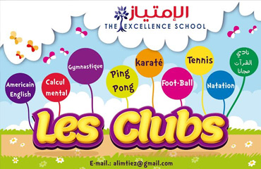 THE EXCELLENCE COLLEGE