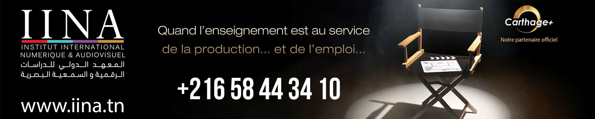 Institut International du Numérique et de l'Audiovisuel - IINA